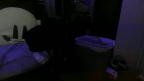 Snapshot of 1337assman1337 chatting on October 21, 9:54 am 1337assman1337 online show from October 21, 9:54 am