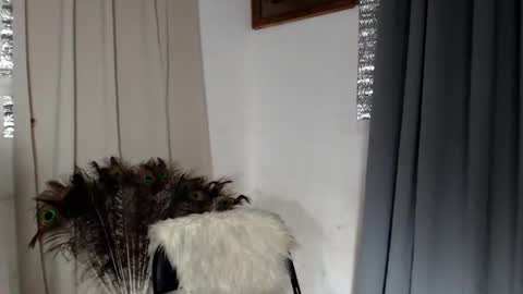 barbie online show from February 8, 1:58 pm