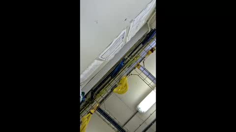 1971berliner online show from February 24, 12:03 pm