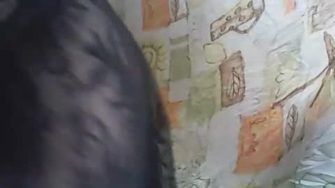 Deluxepussy online show from November 14, 10:03 am