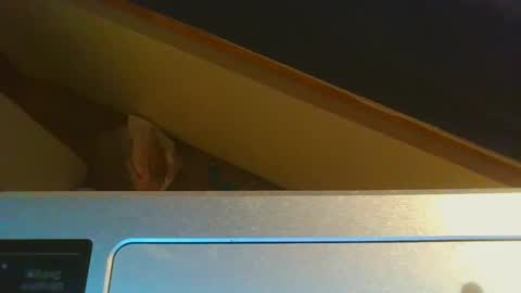 Snapshot of 1lovenaturals chatting on December 15, 8:58 pm Jason online show from December 15, 8:58 pm