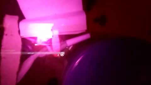 1st___ online show from November 25, 8:58 am