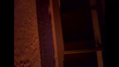 1st___ online show from March 1, 5:53 am