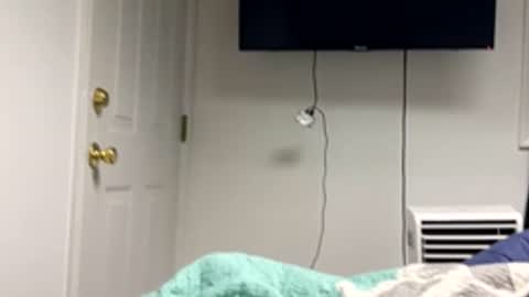 20yrold2001 online show from March 17, 9:51 pm