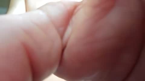 Thisguy online show from July 28, 2:46 pm