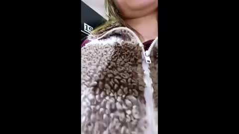 3X NAXAA online show from March 22, 1:14 pm