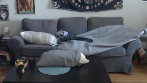 Anomander Rake online show from March 13, 1:07 pm