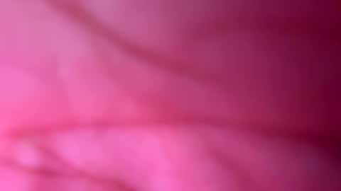 Snapshot of 666babe_ chatting on October 9, 11:41 am 666xoxo online show from October 9, 11:41 am