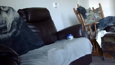 Snapshot of 66bear chatting on December 20, 2:57 pm 66bear online show from December 20, 2:57 pm