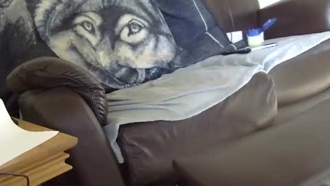 Snapshot of 66bear chatting on March 9, 12:53 pm 66bear online show from March 9, 12:53 pm