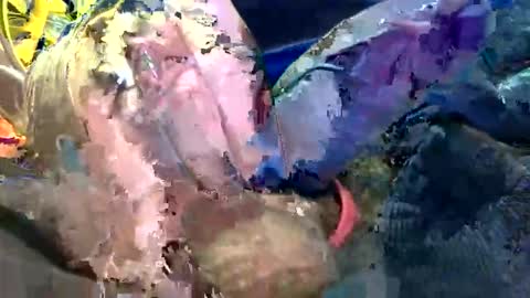 Snapshot of 6990fiko chatting on October 27, 11:58 am 6990fiko online show from October 27, 11:58 am