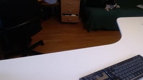 69pifpaf online show from February 10, 1:11 pm