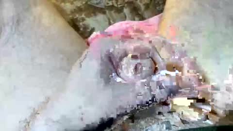 Snapshot of 69rumbler chatting on November 6, 10:05 am 69rumbler online show from November 6, 10:05 am