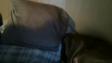 8675309r2d2 online show from September 30, 7:57 am