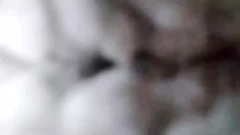 88piterr88 online show from February 17, 8:52 am