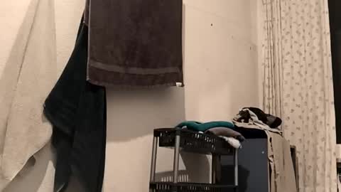 Snapshot of 88piterr88 chatting on February 25, 3:16 am 88piterr88 online show from February 25, 3:16 am