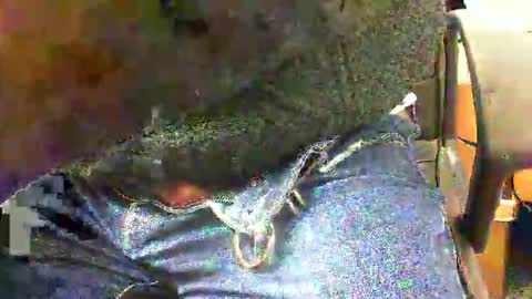 Snapshot of 99zeus9 chatting on November 27, 1:46 pm 99zeus9 online show from November 27, 1:46 pm