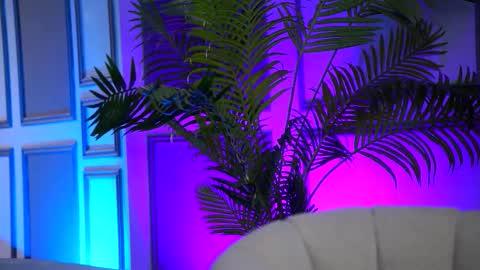 Arielle online show from February 16, 7:59 am