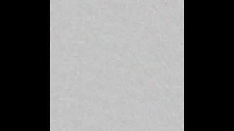 carolina online show from February 7, 2:21 pm