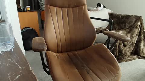 Snapshot of _black_lotus chatting on February 2, 1:34 am _black_lotus online show from February 2, 1:34 am