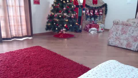 Snapshot of _candygirl20 chatting on January 15, 5:58 pm candygirl online show from January 15, 5:58 pm