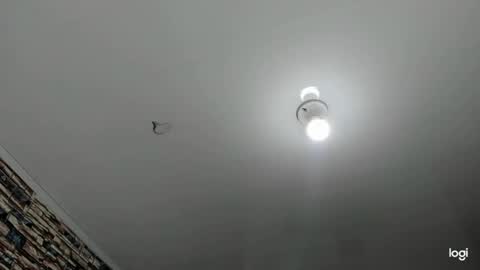 _casandra11 online show from January 23, 9:39 am