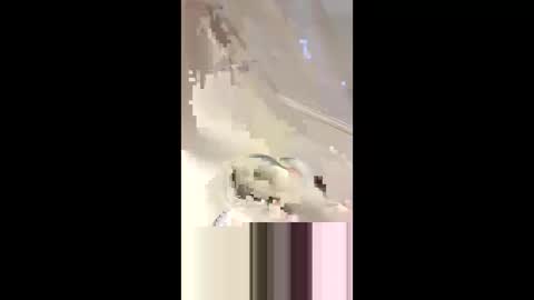 Da d1ck online show from March 2, 6:08 pm