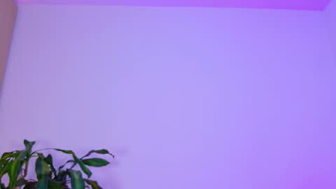 Emi online show from February 3, 2:53 am