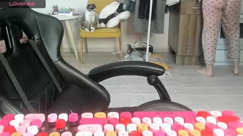Snapshot of _feralberry__ chatting on March 2, 7:15 am Alis online show from March 2, 7:15 am