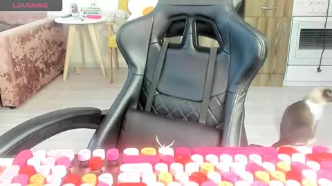 Snapshot of _feralberry__ chatting on March 10, 6:29 am Alis online show from March 10, 6:29 am
