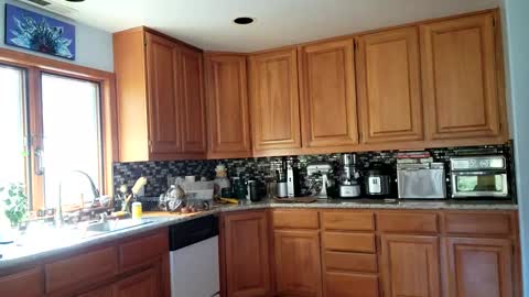 Frankie Rivers allmylinks  online show from March 6, 10:58 pm