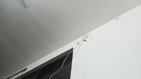 _iluvatar_ online show from February 26, 4:55 am