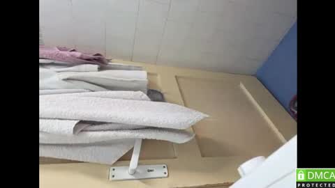 Joker online show from April 14, 2:28 am