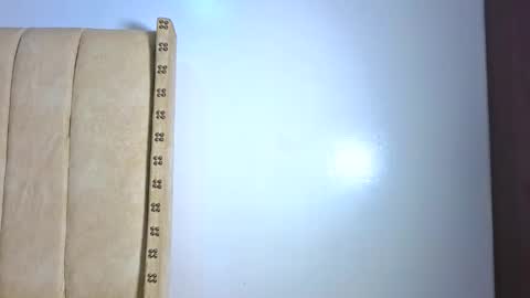 Littlevenus online show from February 3, 2:53 am