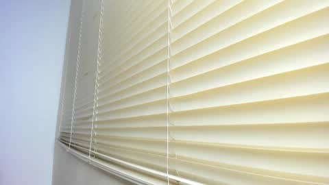 _molly_rosse_ online show from November 12, 11:54 am