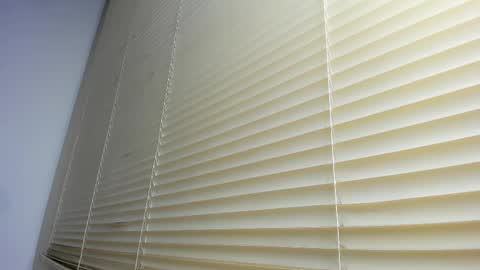 _molly_rosse_ online show from December 5, 12:14 pm