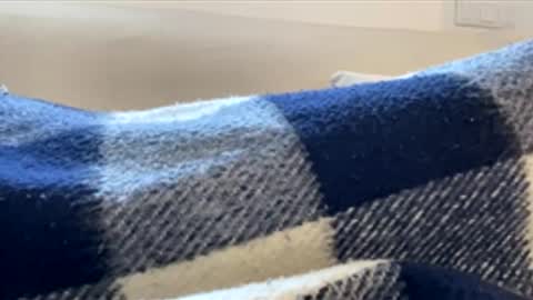 _muestroverga online show from March 15, 7:03 am