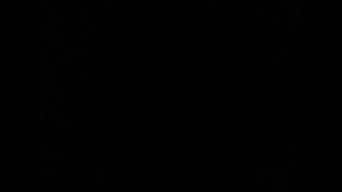 Max online show from January 7, 1:13 pm