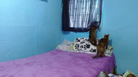 Sammy online show from February 26, 6:21 pm