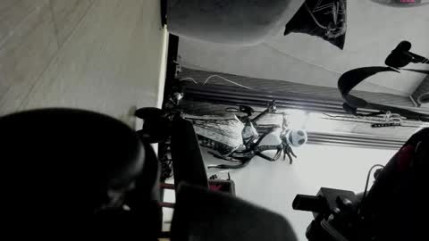 Selene online show from November 2, 4:31 pm