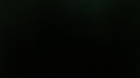  taisha online show from January 25, 11:34 am