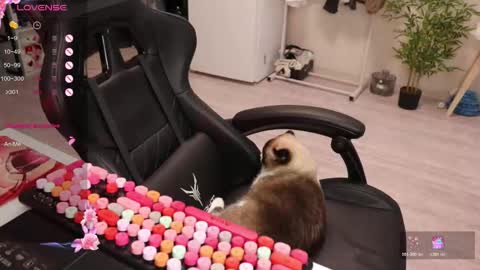 Alis online show from December 15, 8:40 am