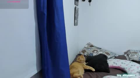 Snapshot of abby_saenz01 chatting on October 18, 11:27 pm Abby Saenz online show from October 18, 11:27 pm