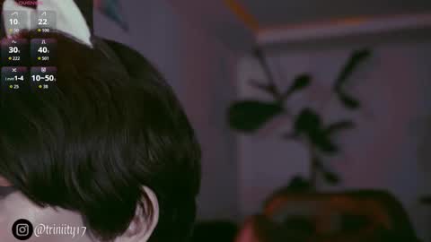 April  online show from December 20, 10:06 pm