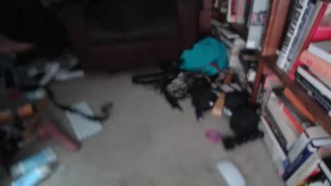 aCACiAs2022 online show from March 1, 1:24 pm