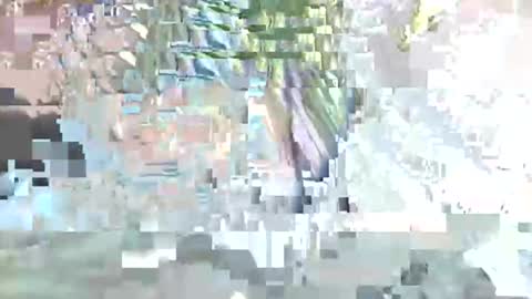 acexx8124 online show from February 23, 2:14 pm