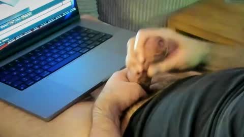 Snapshot of achtinch chatting on January 15, 7:24 am ACHTINCH online show from January 15, 7:24 am