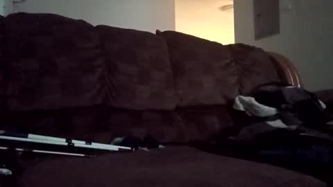 not going to tell you online show from October 19, 7:36 pm