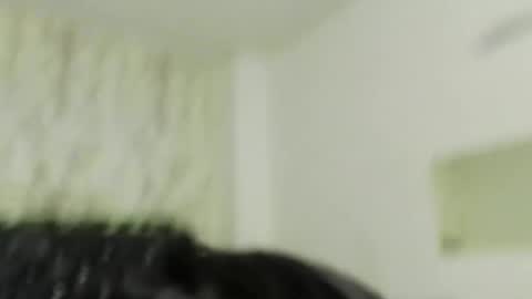 adam_morgan2 online show from December 21, 11:50 am