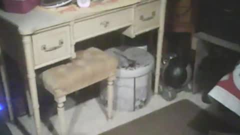 Snapshot of adamsny chatting on January 15, 8:30 am adamsny online show from January 15, 8:30 am